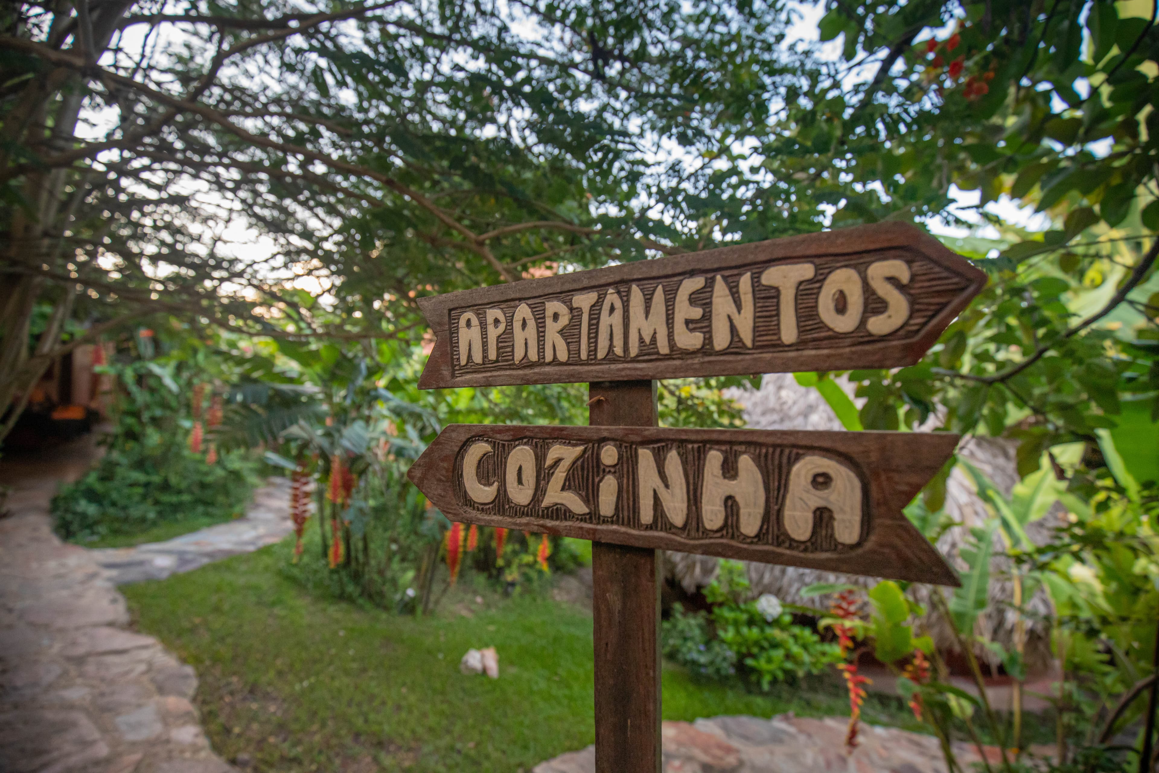 Buddy's Alto Paraíso 1