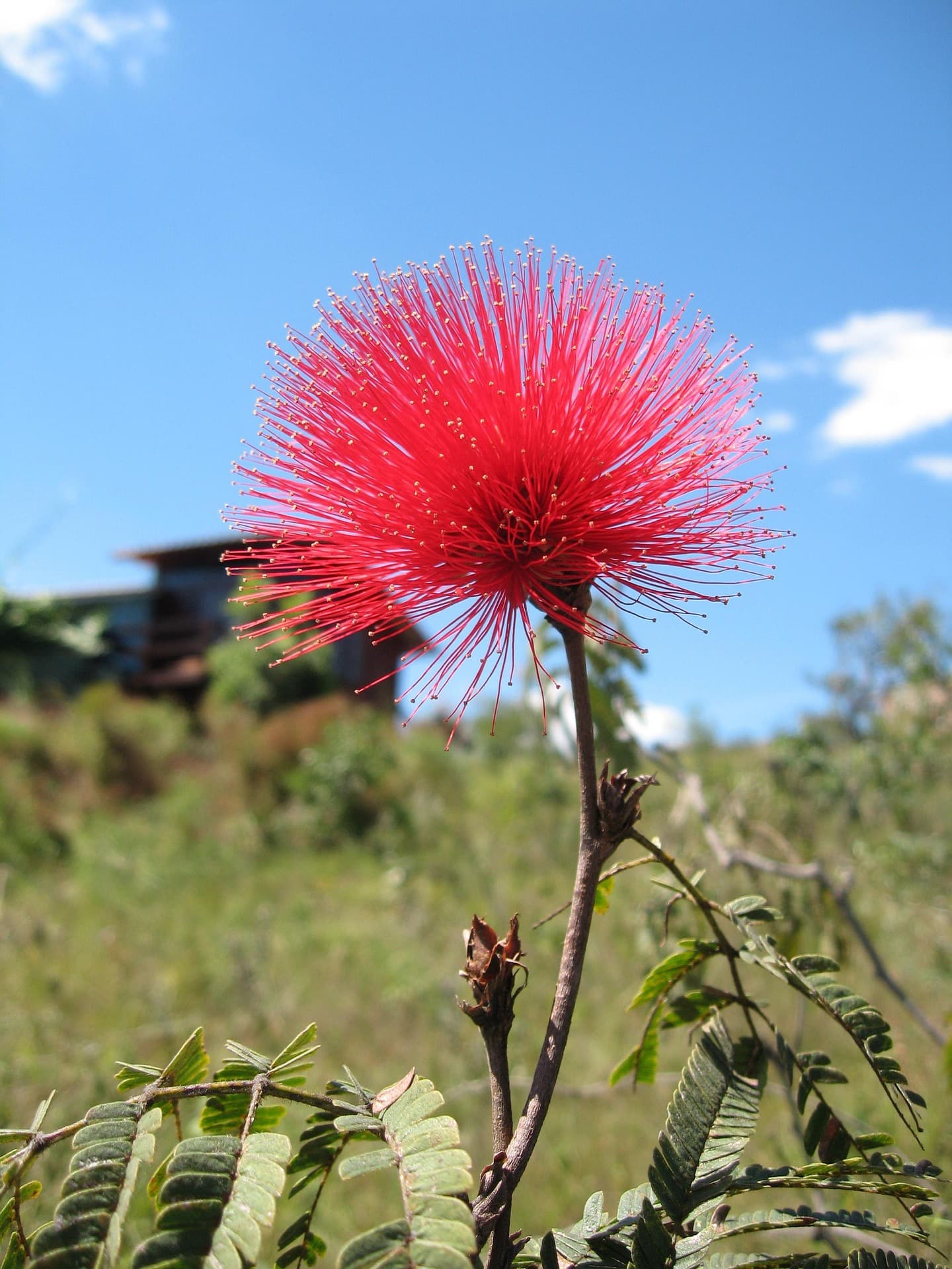 Parque Nacional